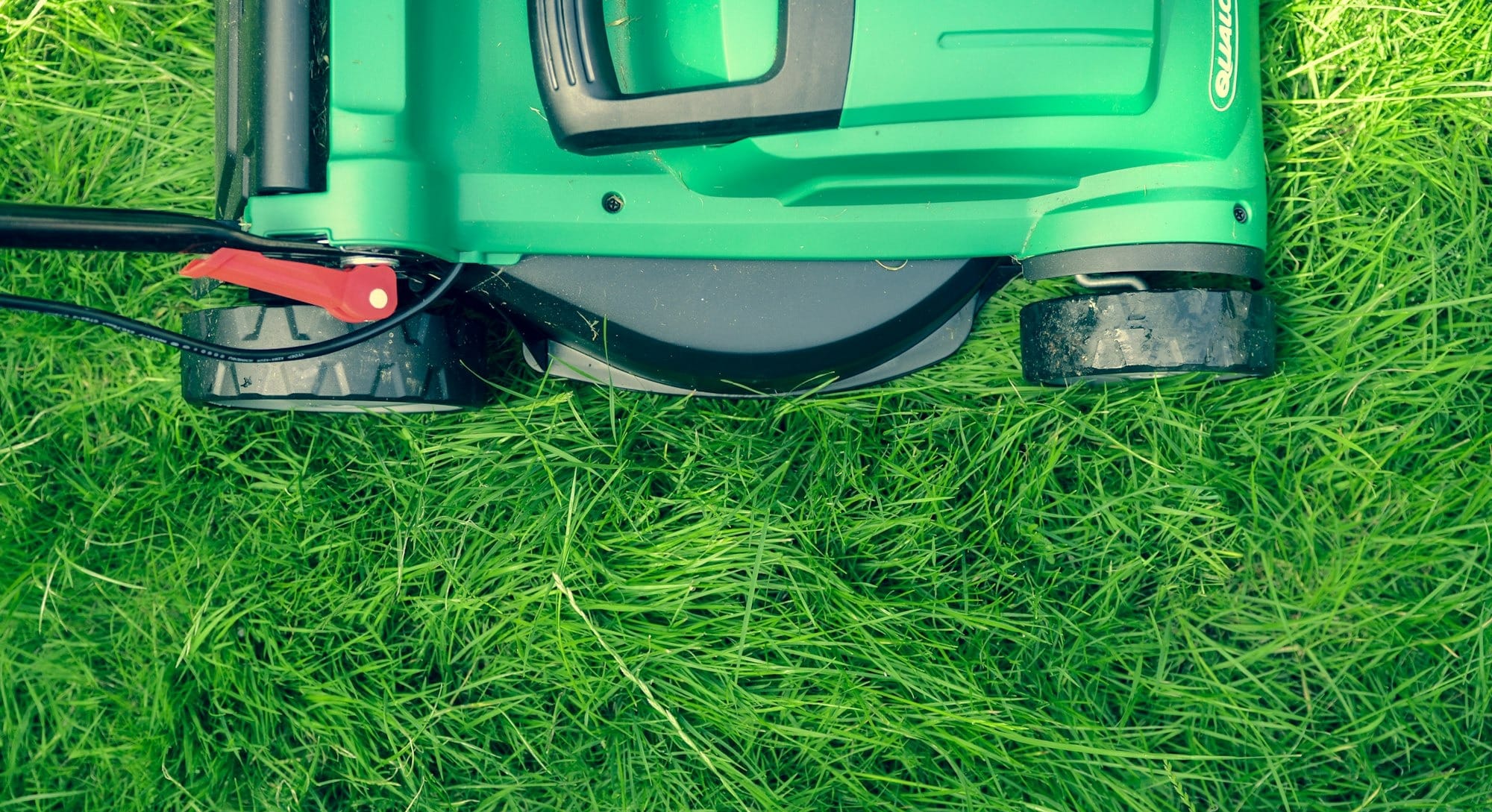 green and black lawnmower on green grass