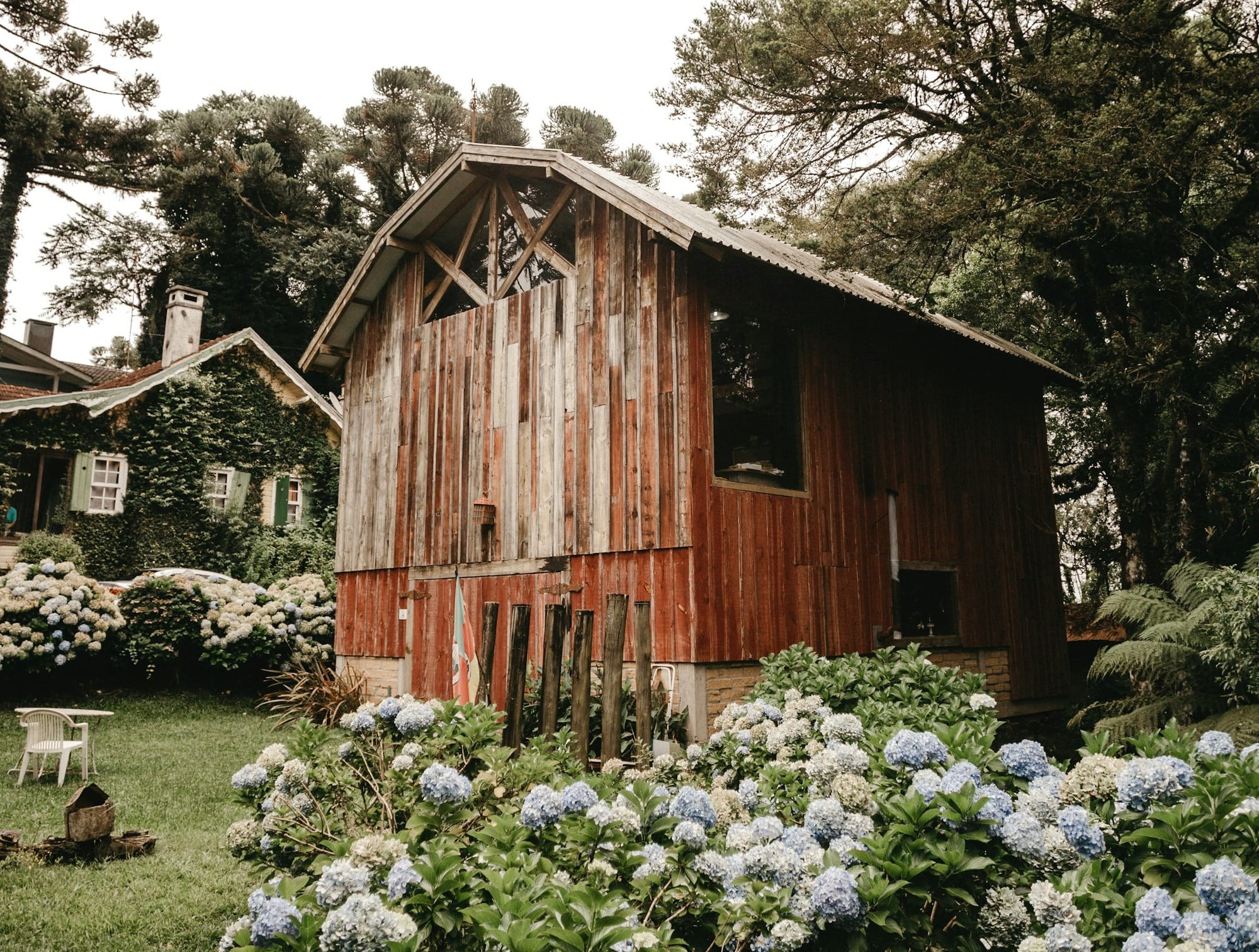 brown wooden house surrounded by trees