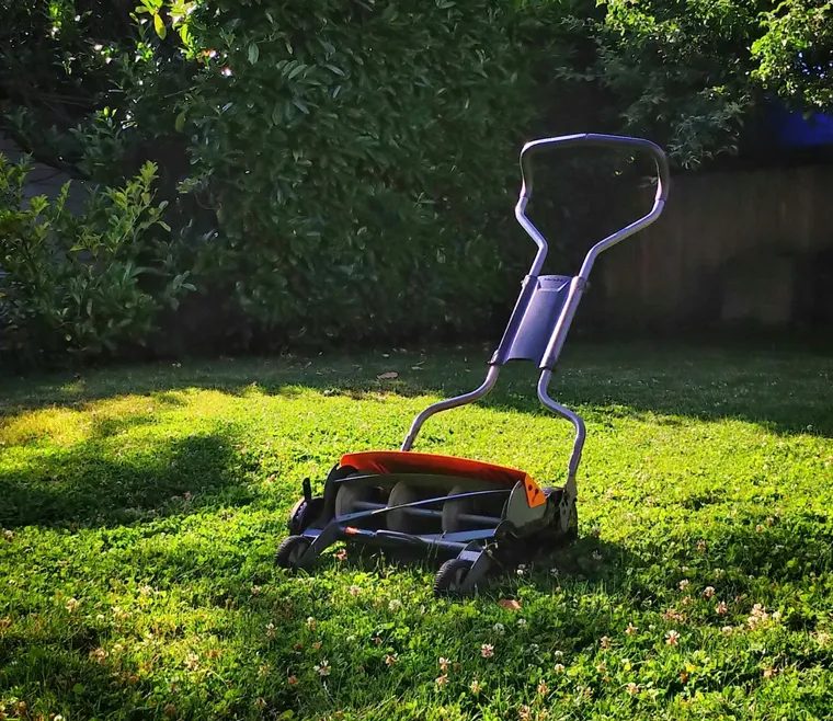 Affordable Lawn Care Services for Seniors in Your Area