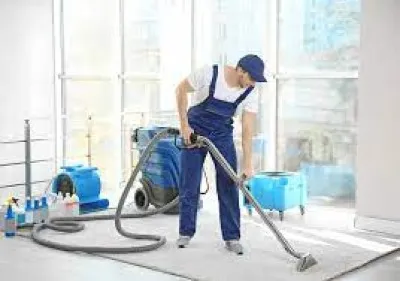 Transform Your Home with Professional Carpet Cleaning Services